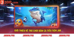 Giới thiệu về trò chơi bắn cá tiểu tiên J88